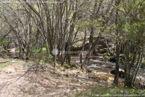 Foto Área Recreativa Montejo de la Sierra 10