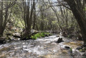 Foto Área Recreativa Montejo de la Sierra 14
