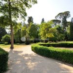 Foto Jardín del Principe 51