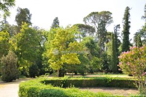 Foto Jardín del Principe 52