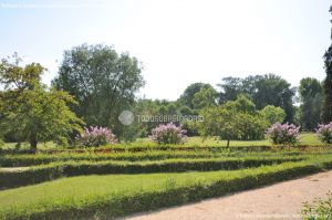Foto Jardín del Principe 54