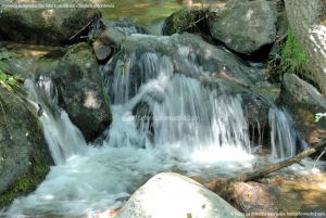 Foto Área Recreativa Parque Dehesa de la Acebeda 16