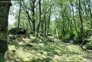 Foto Área Recreativa Parque Dehesa de la Acebeda 28