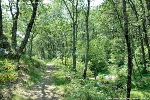 Foto Área Recreativa Parque Dehesa de la Acebeda 37