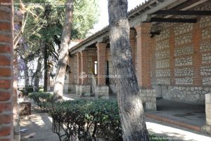 Foto Biblioteca Municipal de El Álamo 8