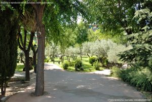 Foto Parque de los Olivos en Algete 2