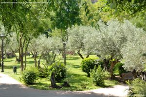 Foto Parque de los Olivos en Algete 3