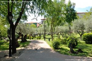 Foto Parque de los Olivos en Algete 4
