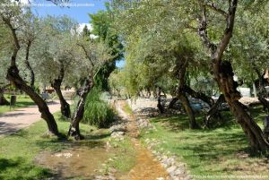 Foto Parque de los Olivos en Algete 6