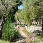 Foto Parque de los Olivos en Algete 7