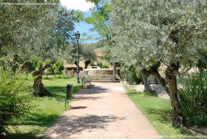 Foto Parque de los Olivos en Algete 8