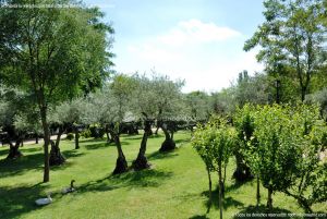 Foto Parque de los Olivos en Algete 16