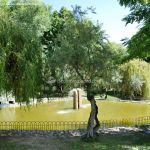 Foto Parque de los Olivos en Algete 18