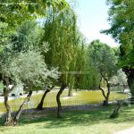 Foto Parque de los Olivos en Algete 22