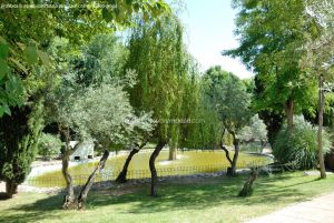 Foto Parque de los Olivos en Algete 22