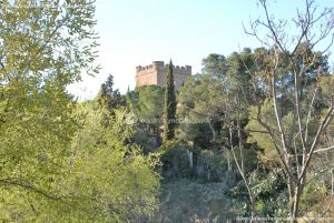 Foto Castillo de Batres 2