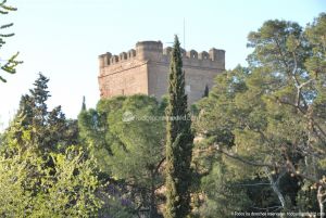 Foto Castillo de Batres 4