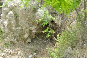 Foto Cueva en Brea de Tajo 2