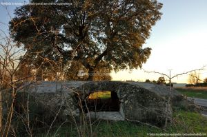 Foto Bunker Guerra Civil I en Brunete 11