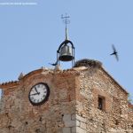 Foto Torre del Reloj en Buitrago del Lozoya 4