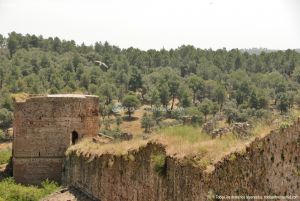 Foto Castillo de Buitrago 3