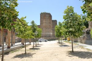 Foto Plaza del Castillo 19