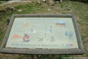 Foto Jardín Temático en Cabanillas de la Sierra 13