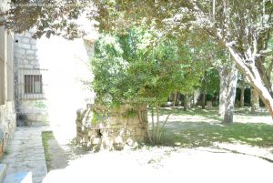 Foto Parque Carlos Manzanares 5