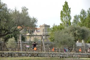 Foto Jardines de Villena 9