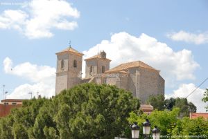 Foto Panorámicas Campo Real 16