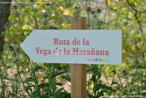 Foto Ruta de la Vega de Marañana 2