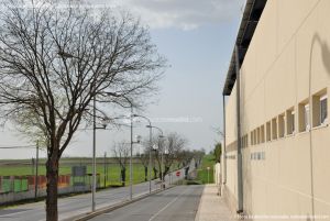 Foto Polideportivo Municipal de Colmenar de Oreja 12