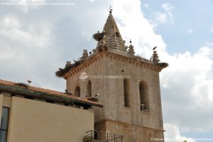 Foto Iglesia de San Juan Bautista de Guadalix de la Sierra 37