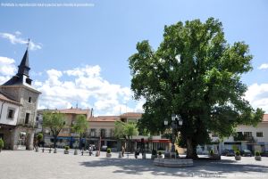 Foto Plaza Mayor de Guadarrama 12