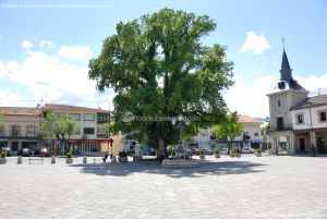 Foto Plaza Mayor de Guadarrama 23