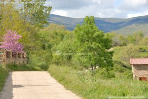 Foto Camino del Molino de Horcajuelo de la Sierra 5