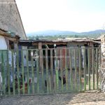 Foto Gallinas en Lozoya 1