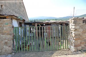 Foto Gallinas en Lozoya 1