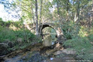 Foto Puente Romano en Sieteiglesias 20