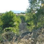 Foto Camino al Puente Romano de Sieteiglesias 20