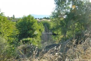 Foto Camino al Puente Romano de Sieteiglesias 20