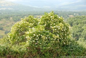 Foto Panorámicas Madarcos 42