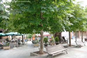 Foto Plaza del Álamo 9
