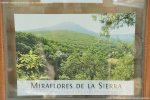 Foto Punto de Información Turística en Miraflores de la Sierra 4