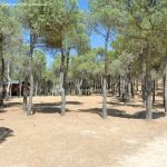 Foto Parque Forestal La Corneja 8