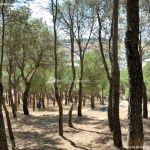 Foto Parque Forestal La Corneja 14