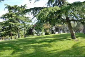 Foto Parque del Doctor Rodríguez Padilla 1