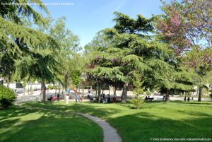 Foto Parque del Doctor Rodríguez Padilla 4