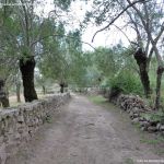 Foto Camino al Molino en Navalafuente 6