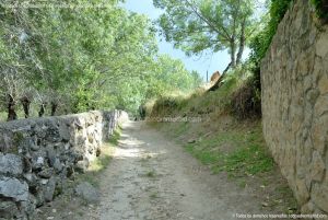 Foto Camino al Molino en Navalafuente 13